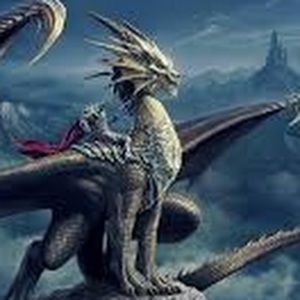 Meet your Posher, Desmond